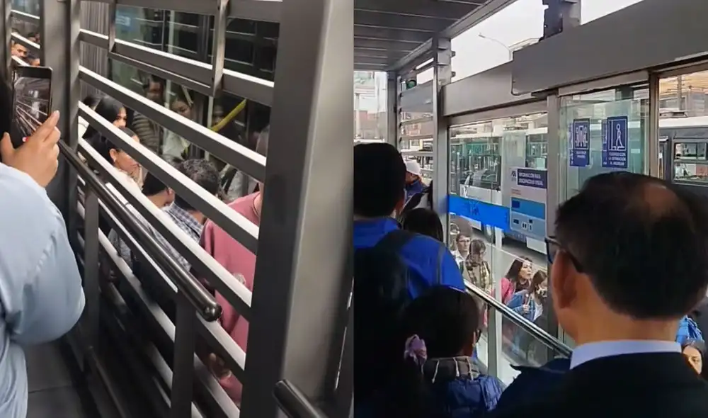 Usuarios del Metropolitano en Lima denuncian situaciones de riesgo al hacer fila fuera de los andenes autorizados, exponiéndose en el carril exclusivo de buses.