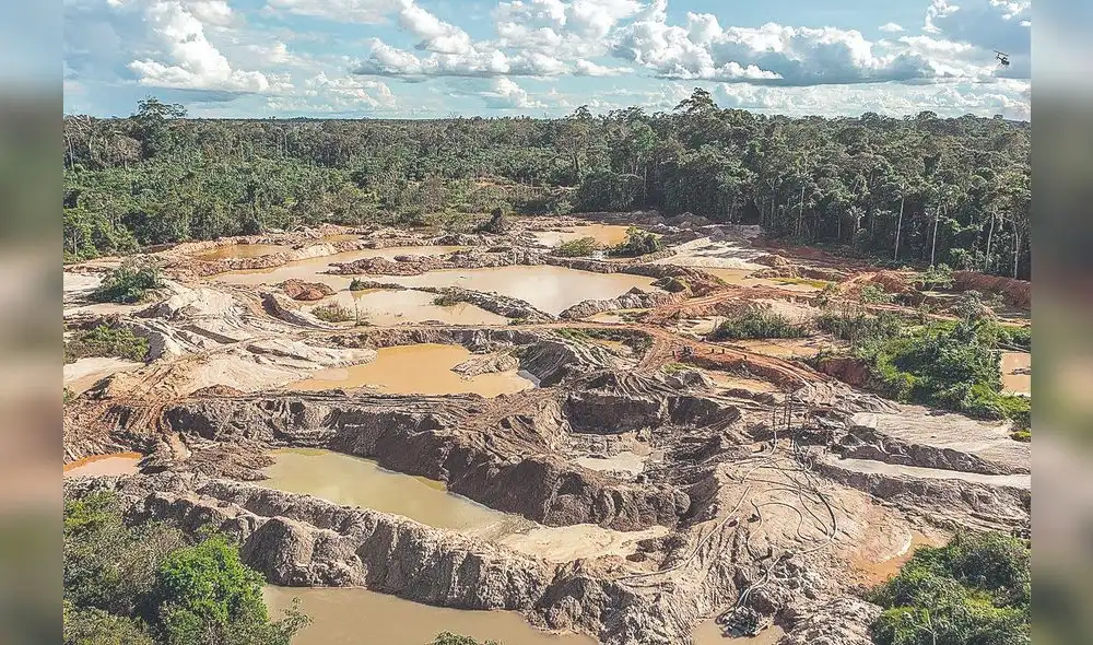 Pérdida. Cada año se pierde 150 mil hectáreas de bosque por actividades extractivas como la minería.