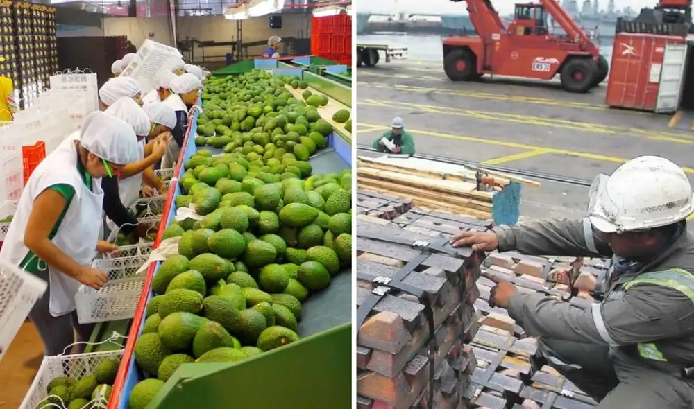 De acuerdo con Adex, las exportaciones del sector minero y agrícola representan casi el 80% del total de despachos en el país. Foto: composición LR/Andina