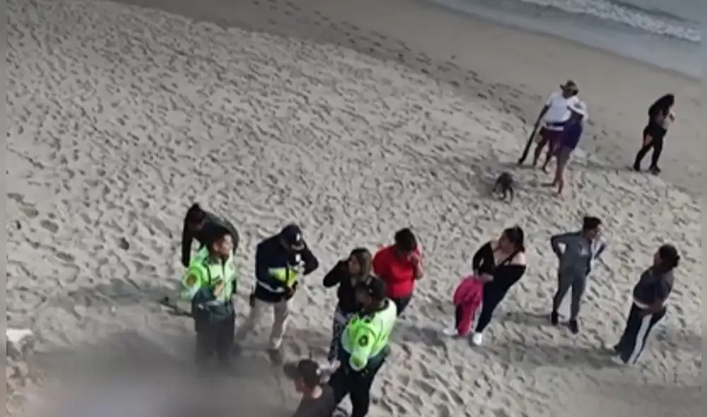 Cuerpo de joven mujer fue hallado en la playa Venecia en VES. Cuerpo de joven mujer fue hallado en la playa Venecia en VES.