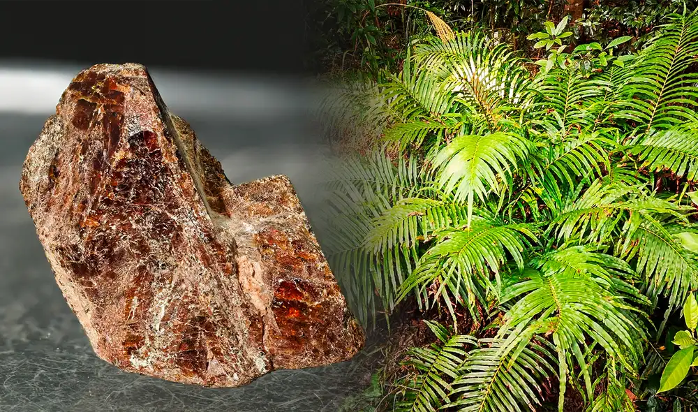 China revoluciona la minería al descubrir un elemento clave de tierras raras formado dentro de una planta