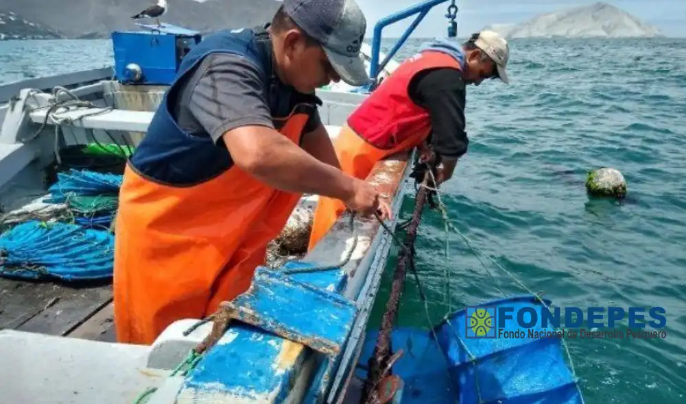 Nueva escala salarial para personal de FONDEPES Nueva escala salarial para personal de FONDEPES