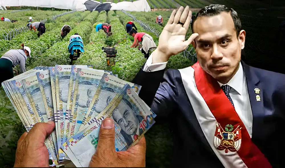 La medida del Gobierno de José Jerí a medida beneficiaría exclusivamente a grandes conglomerados agroexportadores La medida del Gobierno de José Jerí a medida beneficiaría exclusivamente a grandes conglomerados agroexportadores