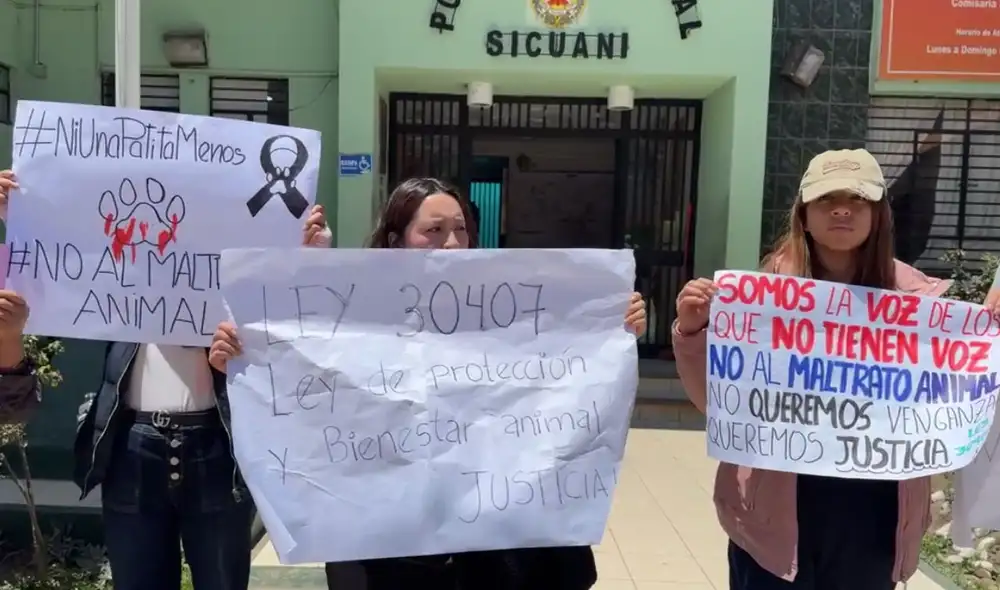 Activistas exigieron sanción para nuevo caso de maltrato animal. Foto: captura RPP. Activistas exigieron sanción para nuevo caso de maltrato animal. Foto: captura RPP.