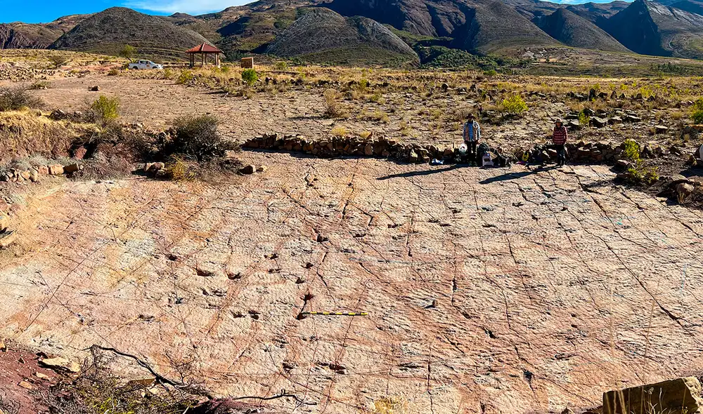 En Bolivia, el yacimiento arqueológico de Carreras Pampas se ha convertido en uno de los más importantes del mundo. Foto: Raúl Esperante
