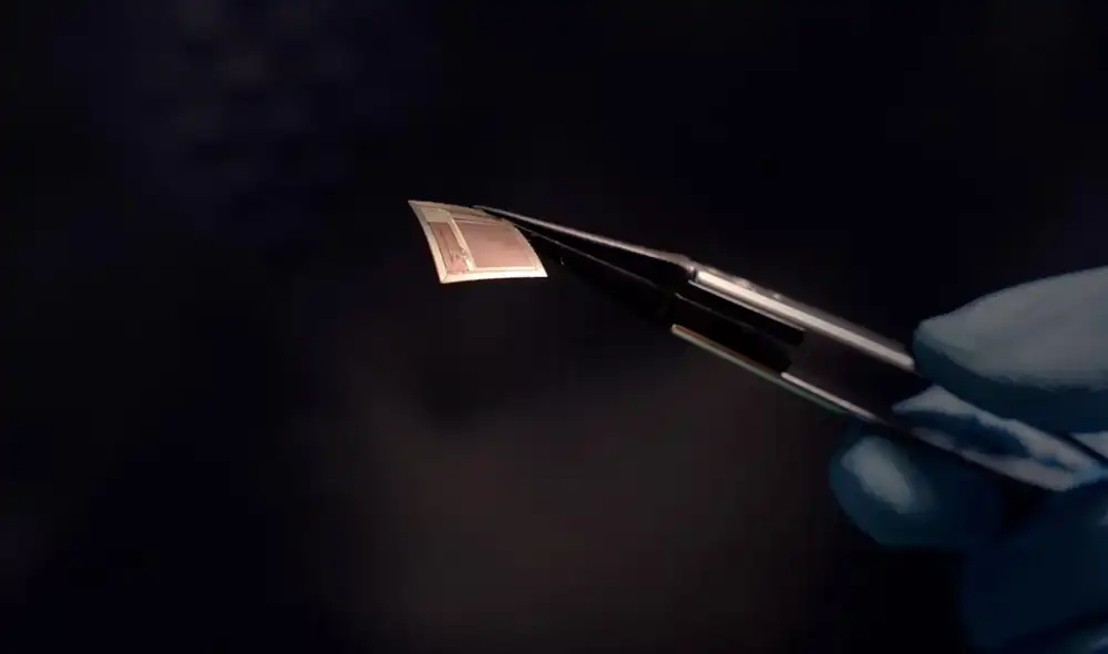 Un chip de silicio establece una conexión inalambrica entre el cerebro y un ordenador externo. Foto: Columbia Engineering Un chip de silicio establece una conexión inalambrica entre el cerebro y un ordenador externo. Foto: Columbia Engineering