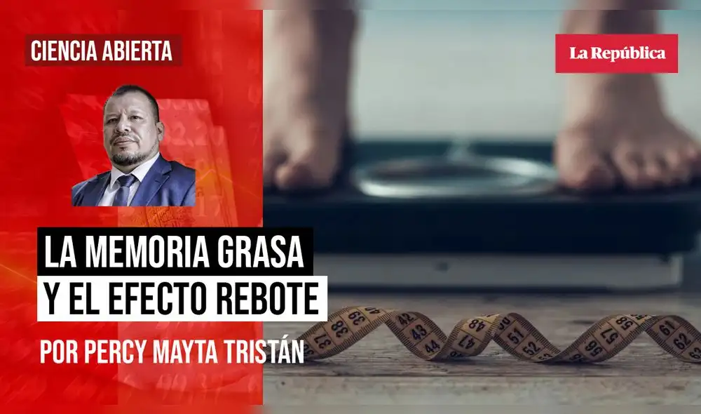 Percy Mayta Percy Mayta