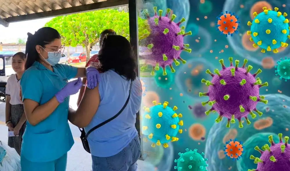 Influenza H3N2 subclado K en Perú: ¿cómo diferenciar el nuevo virus de una gripe común? Influenza H3N2 subclado K en Perú: ¿cómo diferenciar el nuevo virus de una gripe común?