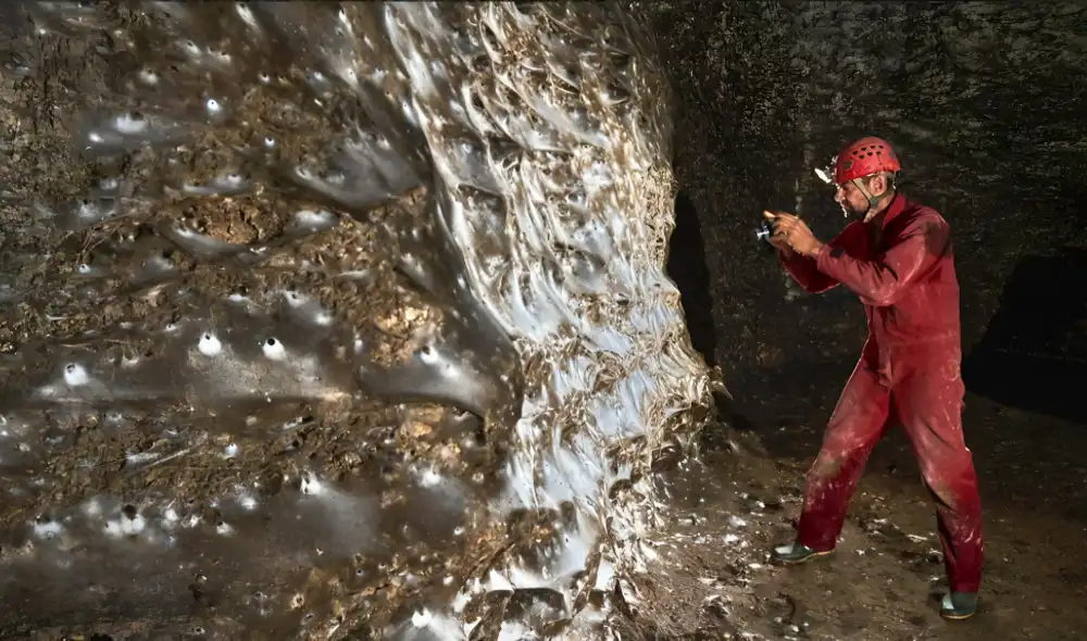 La red de seda se formó en completa oscuridad dentro de una cueva alimentada por bacterias del azufre. Foto: Subterranean Biology