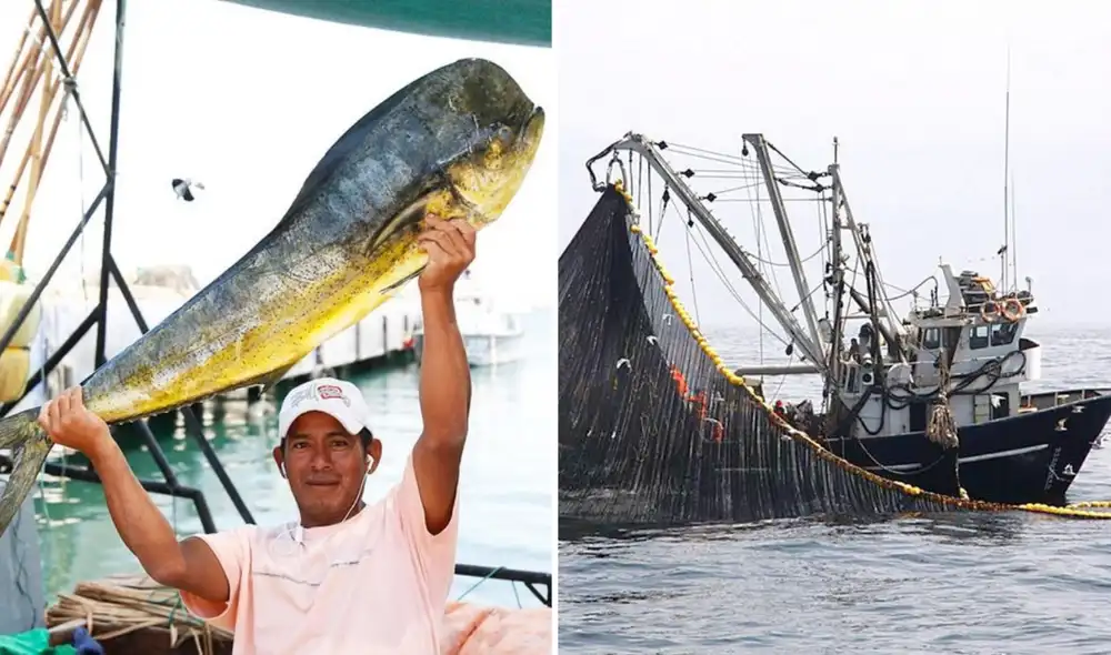 Desde 2026, quedará prohibida la exportación de perico capturado con redes de enmalle, según nuevas exigencias de EE.UU.