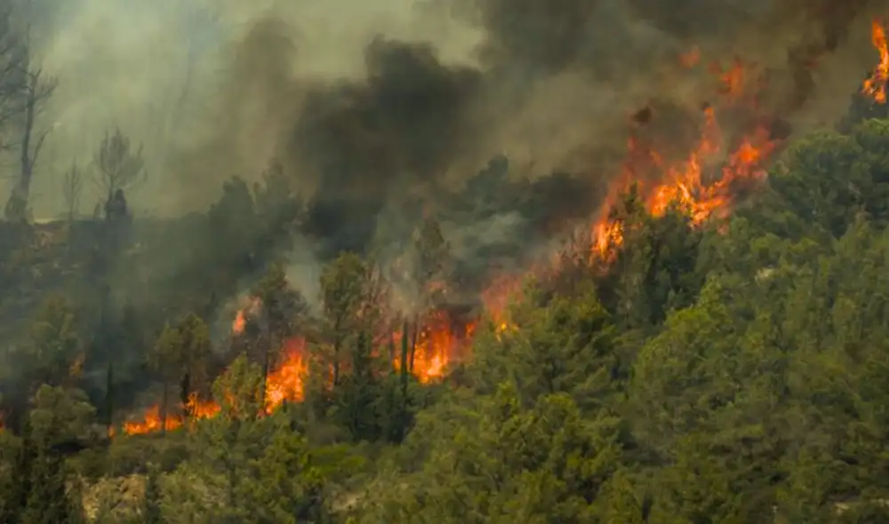 Incendios forestales repuntan en Áncash: autoridades indican que serían provocados