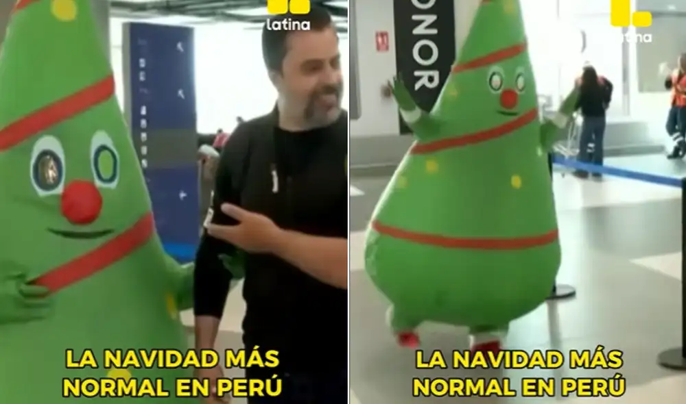 Mujer sorprendió a su pareja vestida de árbol de Navidad. Mujer sorprendió a su pareja vestida de árbol de Navidad.