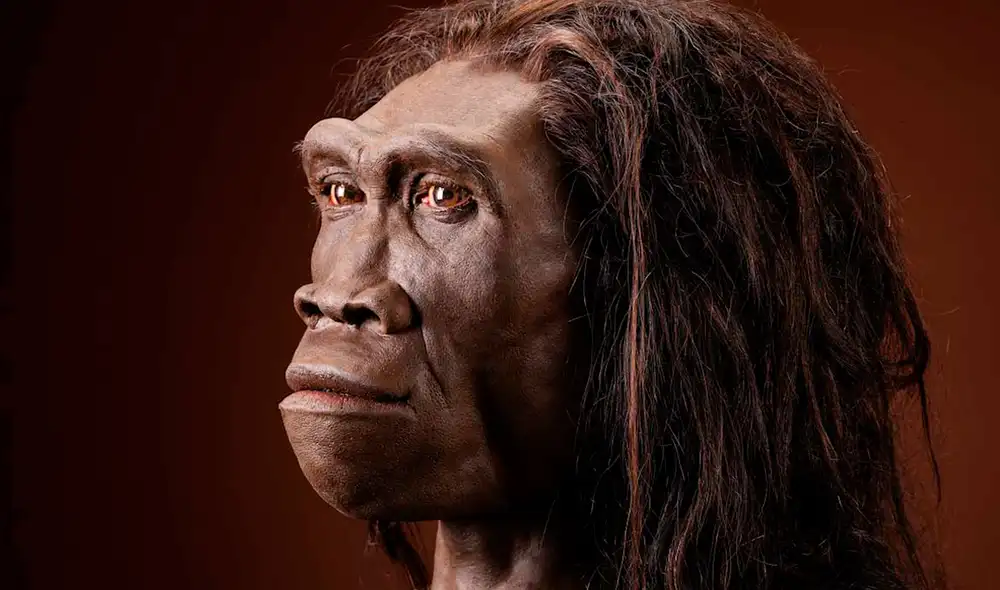Reconstrucción facial de una mujer Homo erectus. Foto: Museo Nacional Smithsonian de Historia Natural