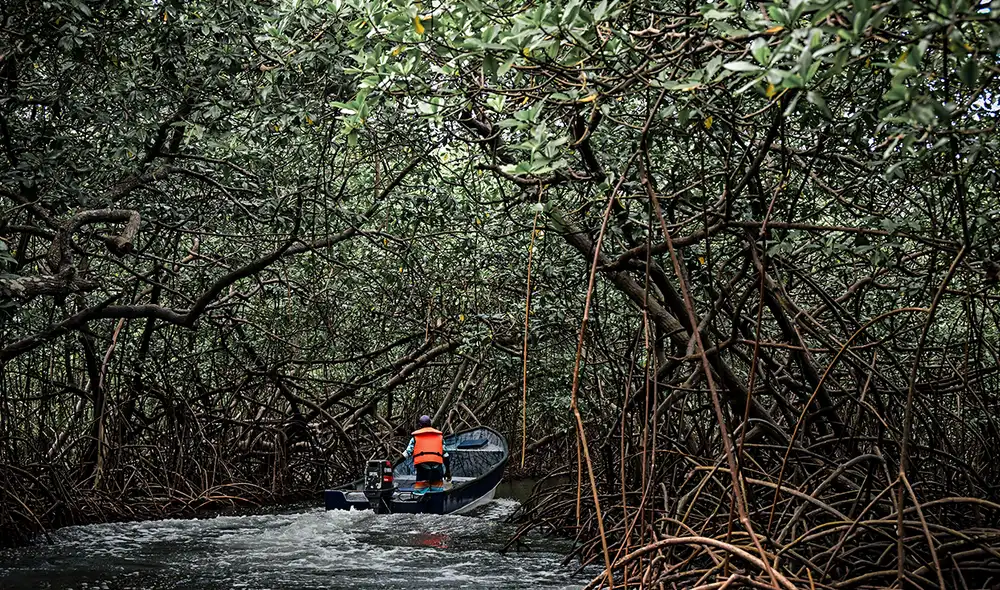 En los últimos dos años las incautaciones en puertos del Caribe panameño aumentó considerablemente. Foto: AFP.
