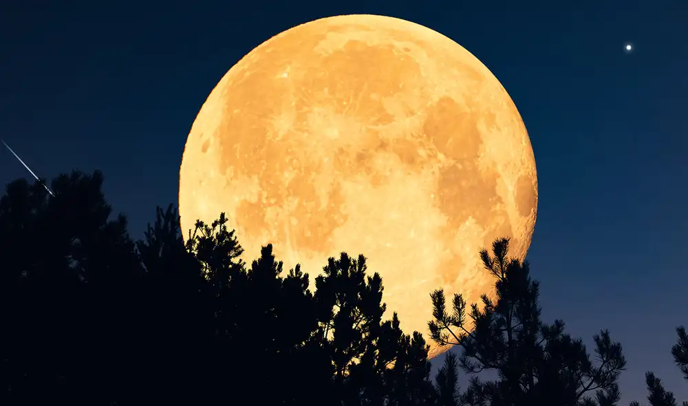 La luna llena de enero es conocida como Luna de lobo. Foto: IStock