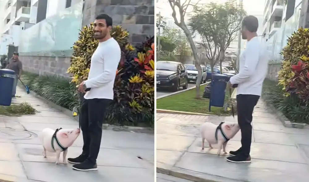 Escena viral de TikTok tiene más de 1 millón de visualizaciones.