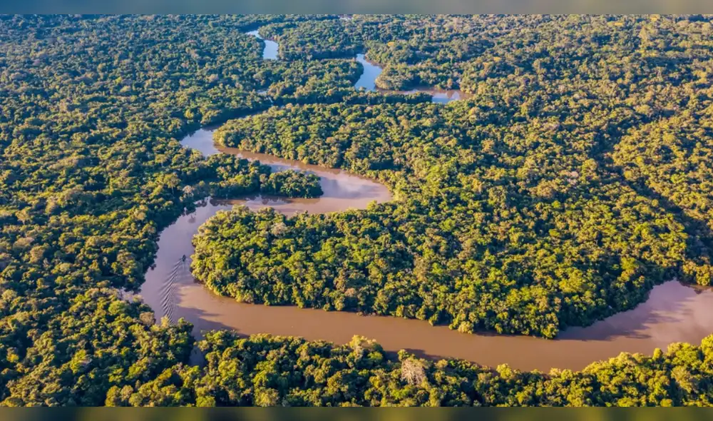 La Amazonía está protegida por estos ciudadanos que aman a su patria. Fuente: Shutterstock. La Amazonía está protegida por estos ciudadanos que aman a su patria. Fuente: Shutterstock.