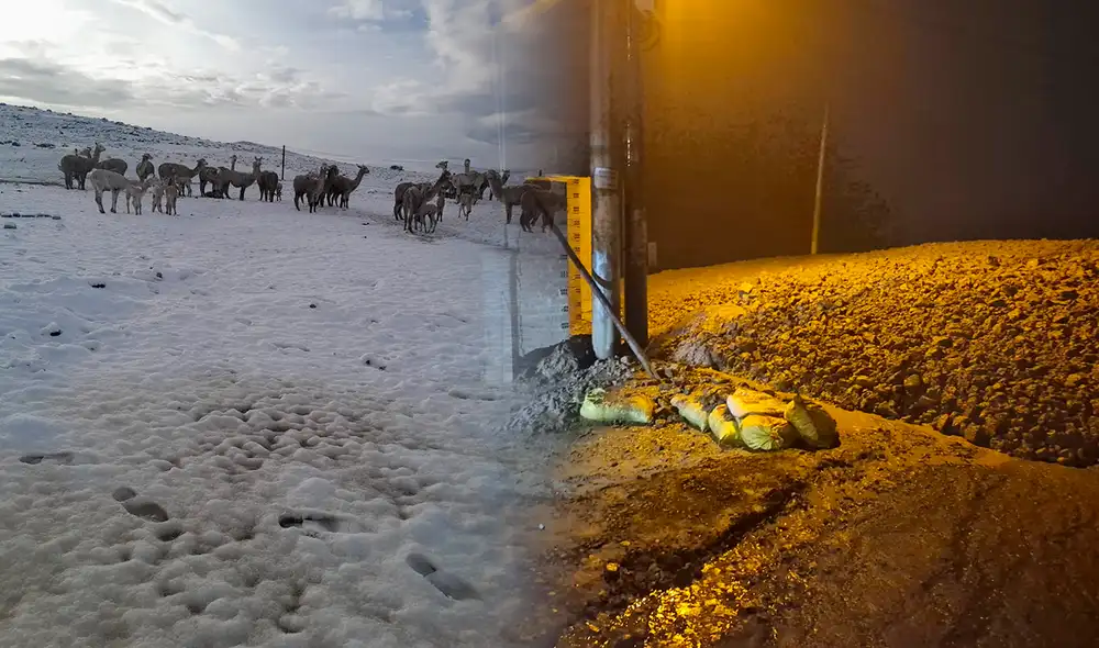 En la sierra alta de la región Arequipa se reportaron nevadas en zonas por encima de los 4.800 msnm. Créditos: COER Arequipa