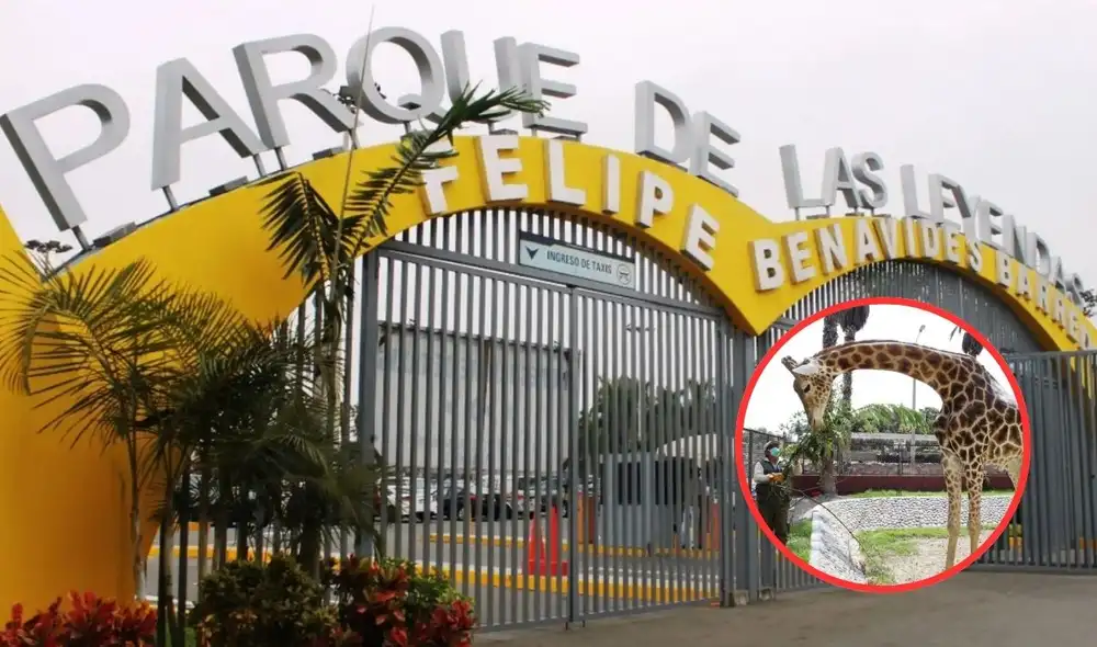 El Parque de las Leyendas mantiene la entrada es gratuita para personas con discapacidad.