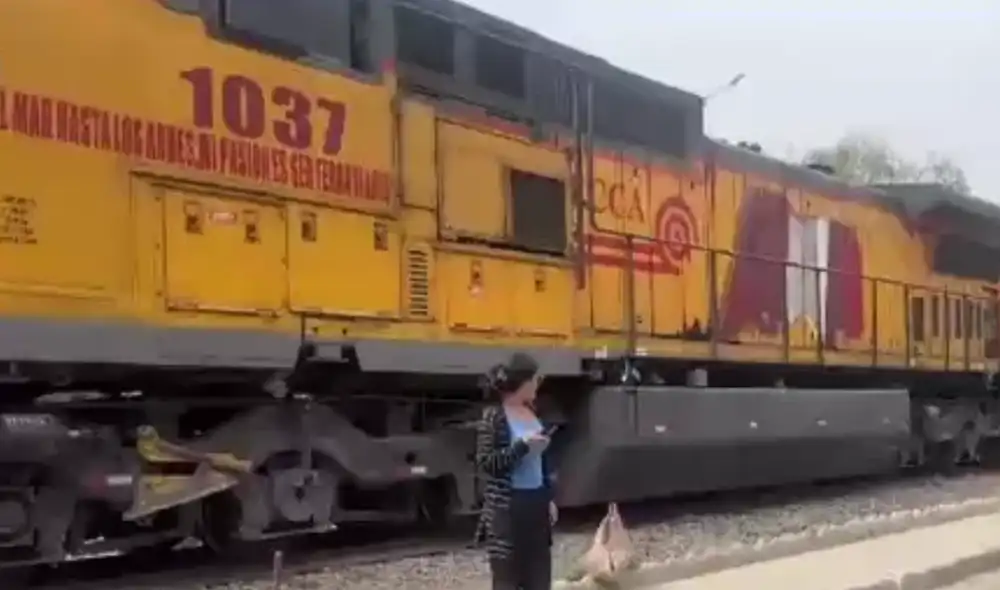 Un sujeto fue arrollado por un tren cuando se quedó dormido en una vía férrea ubicada en Chaclacayo.