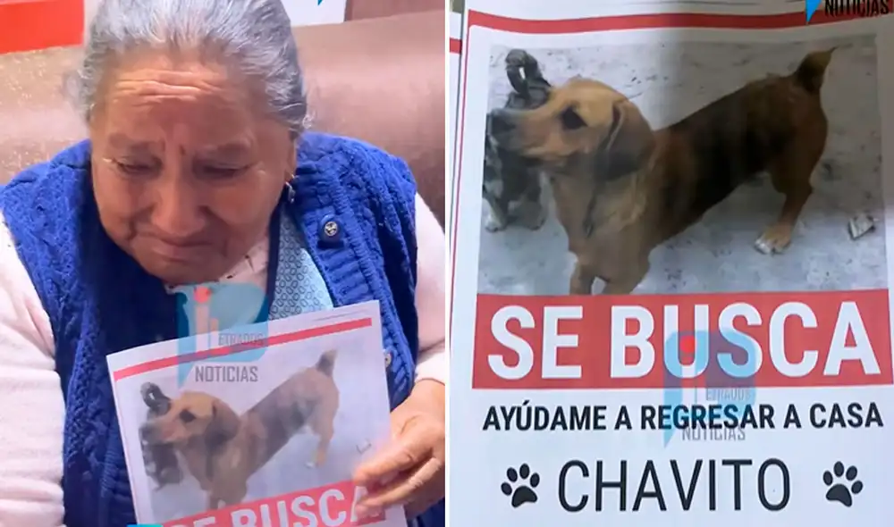 La mujer de 84 años llora de desesperación al no tener a su pequeño ‘Chavito’ a su lado.