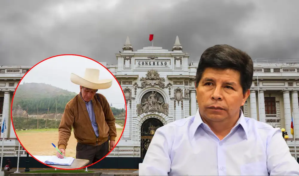 El hermano de Pedro Castillo postula al Senado con el número 1. Foto: Composicion/LR