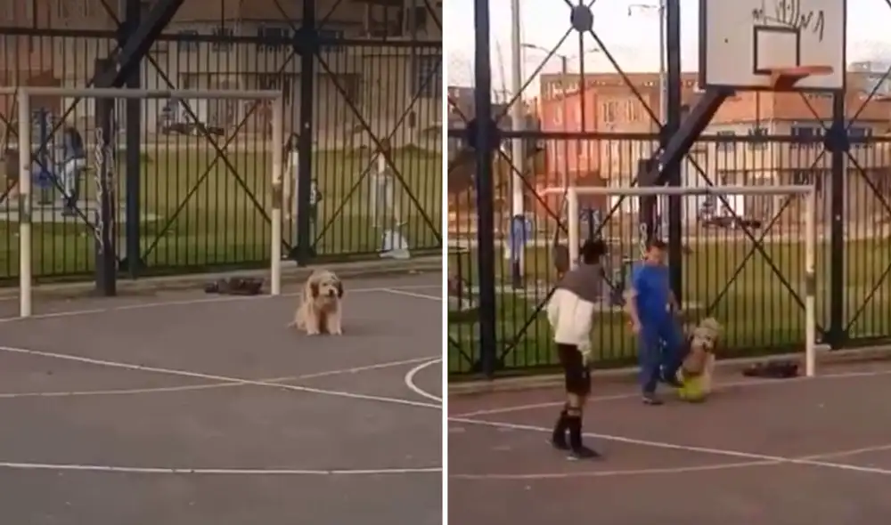 Un perro se convierte en el arquero estrella en un partido de fútbol callejero en Argentina Un perro se convierte en el arquero estrella en un partido de fútbol callejero en Argentina