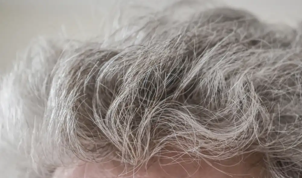 Habría una relación entre la pérdida de pigmento de nuestro cabello y los mecanismos que pueden mantener a raya al cáncer. Foto: IStock