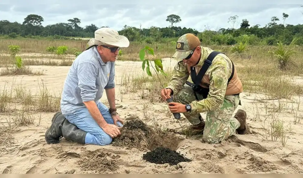 Más de 40 mil árboles son sembrados en zonas afectadas por la minería ilegal.