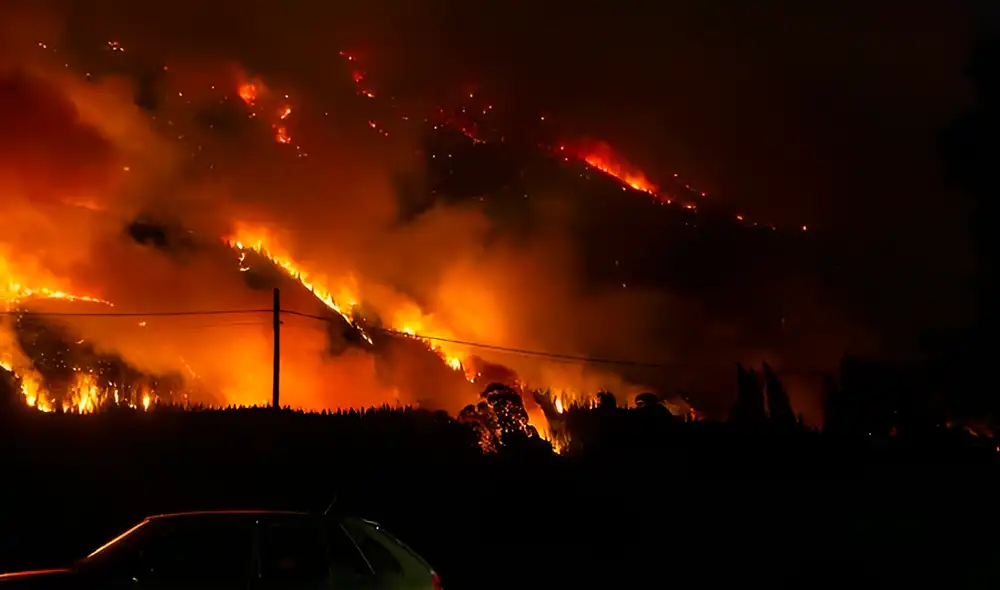 Argentina declaró emergencia por incendios forestales en la Patagonia.