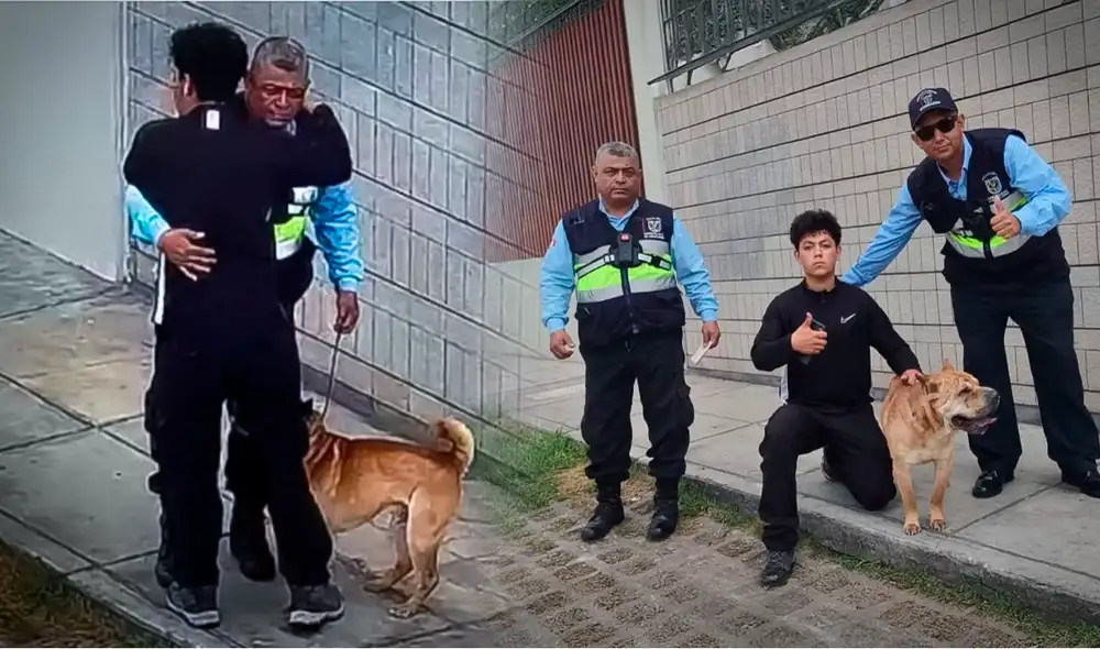 Un sereno de la Municipalidad de Miraflores rescató a un perro extraviado que era buscado por su dueño. Un sereno de la Municipalidad de Miraflores rescató a un perro extraviado que era buscado por su dueño.