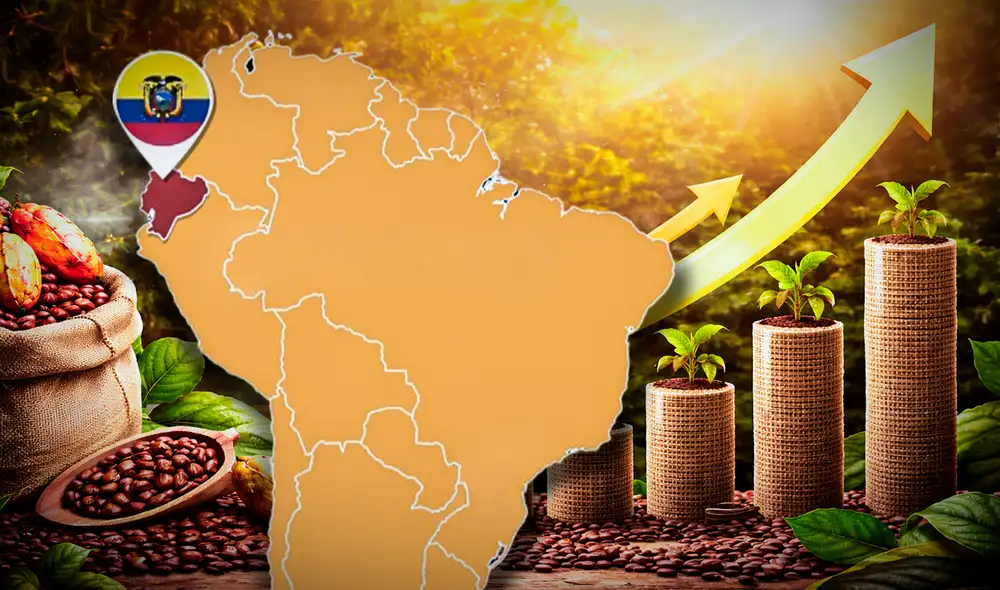 Ecuador se posiciona para desplazar a Ghana como el segundo productor mundial de cacao gracias a proyecciones de volumen ambiciosas. Ecuador se posiciona para desplazar a Ghana como el segundo productor mundial de cacao gracias a proyecciones de volumen ambiciosas.