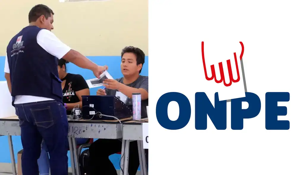 Coordinador local de votación en diversas regiones del país.