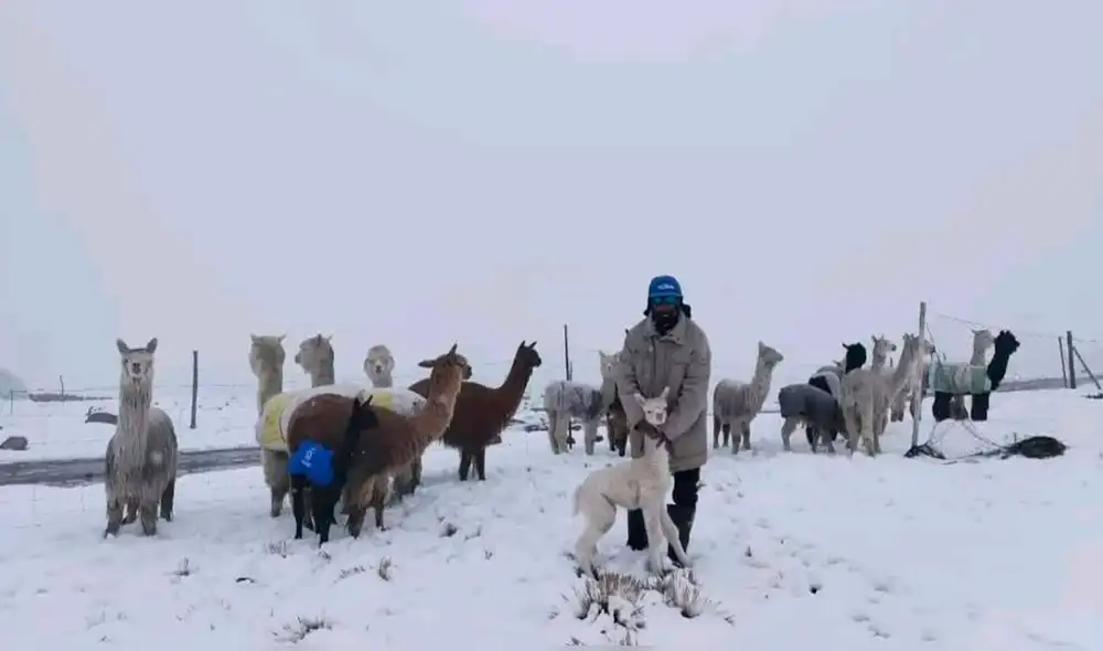 Autoridades de centros poblados como Jachaña y pobladores piden apoyo al gobierno regional de Arequipa: Foto: Difusión Autoridades de centros poblados como Jachaña y pobladores piden apoyo al gobierno regional de Arequipa: Foto: Difusión
