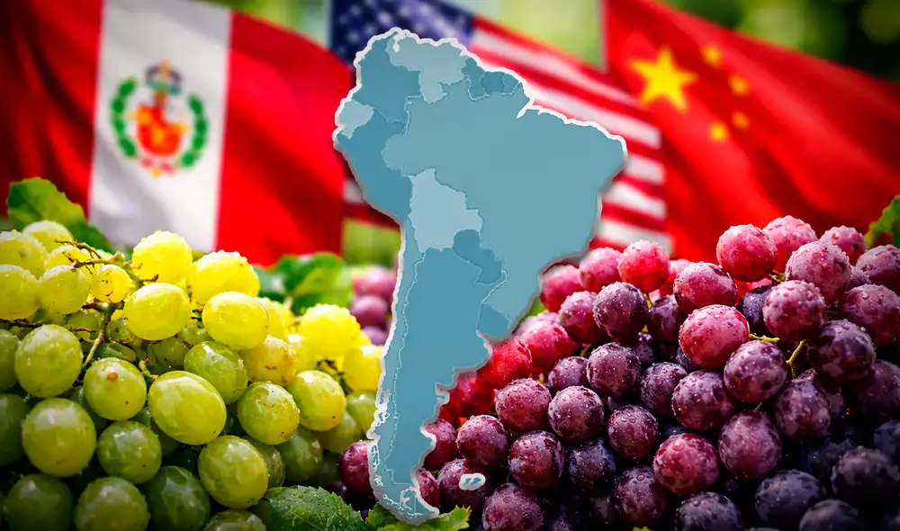 Según estimaciones del USDA, este país de América Latina registra una producción superior a 1,7 millones de toneladas de uva en el mundo.