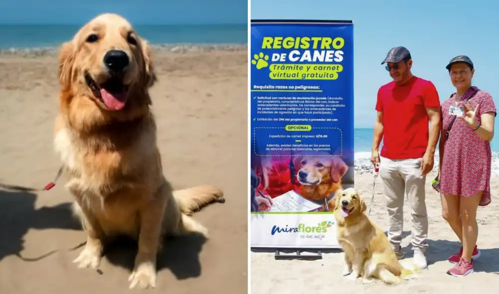La Municipalidad de Miraflores presenta el nuevo DNI para mascotas
