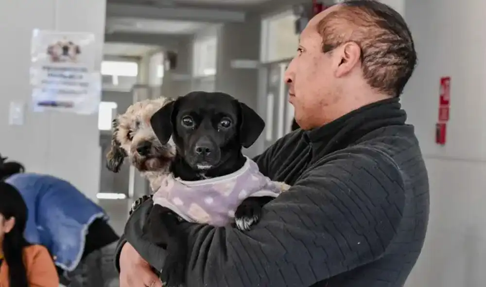 Campaña veterinaria gratuita este 6 de febrero en Los Olivos.