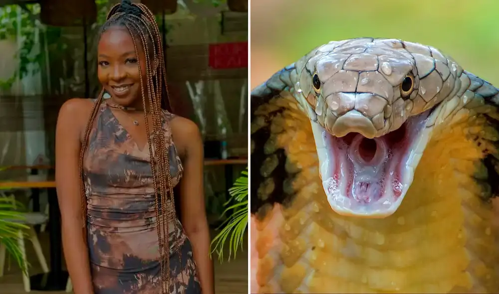 Ifunanya Nwagene también era arquitecta de profesión. Foto: Composición LR/Instagram.