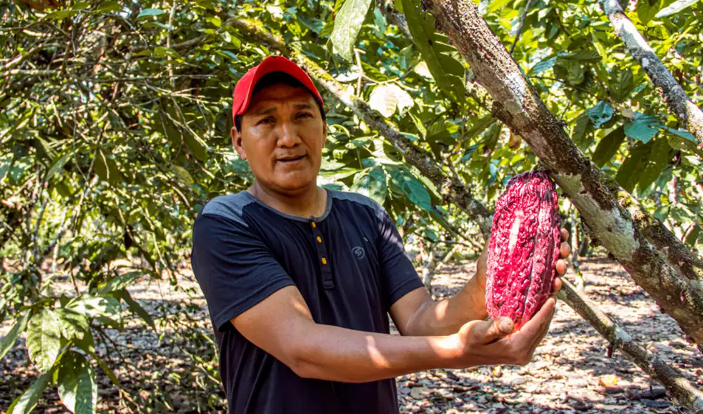 Perú superó ventas por agroexportaciones en más de US$15.000 millones al cierre del 2025.