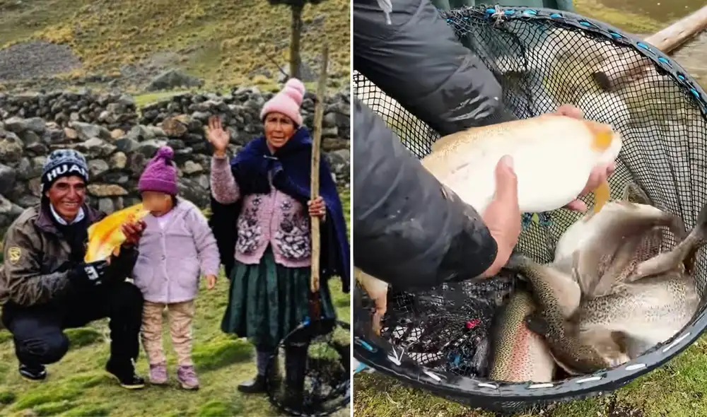Emprendimiento familiar que desafía la naturaleza en los Andes.