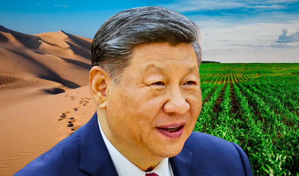 El experimento usa bloques microbianos que despiertan con lluvia y colonizan la arena en China. Foto: Composición LR