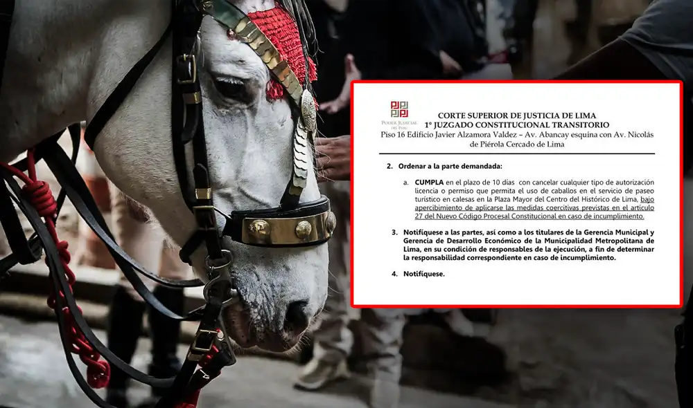 Resolución judicial ordena cancelar el uso de caballos para paseos en carruajes.