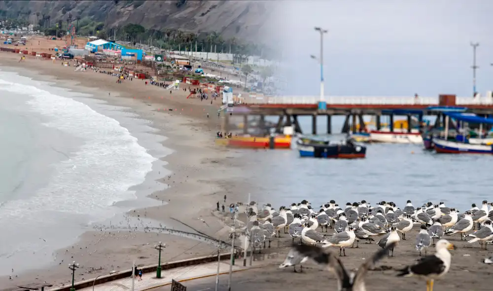 Playa Agua Dulce amanece limpia tras cierre temporal por la Municipalidad de Chorrillos