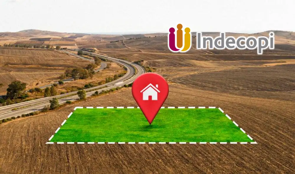 Indecopi impuso medidas cautelares contra dos empresas inmobiliarias tras recibir 277 denuncias Indecopi impuso medidas cautelares contra dos empresas inmobiliarias tras recibir 277 denuncias