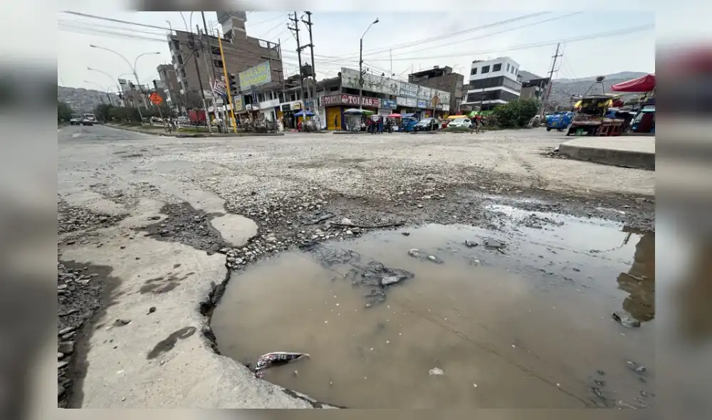 Trabajos incluirán restauración de la vía principal y carriles auxiliares, así como la remodelación de alameda ubicada entre las pistas.