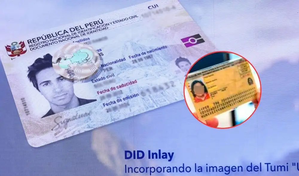 El trámite para renovar el DNI amarillo se puede realizar en línea a través de la plataforma del Reniec.