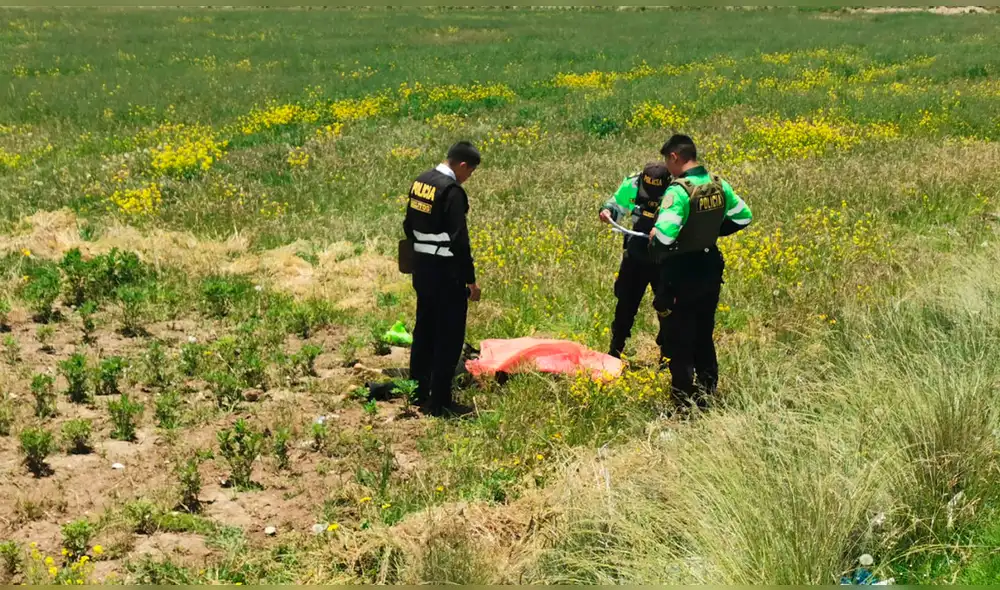 Cuerpo fue encontrado en unos sembríos de papa en Juliaca. Foto: Cinthia Alvarez, La República