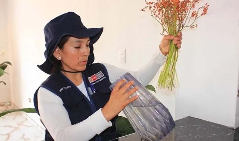 Profesionales de la salud recomiendan revisar el agua de los floreros en casa. Fuente: GOB.PE