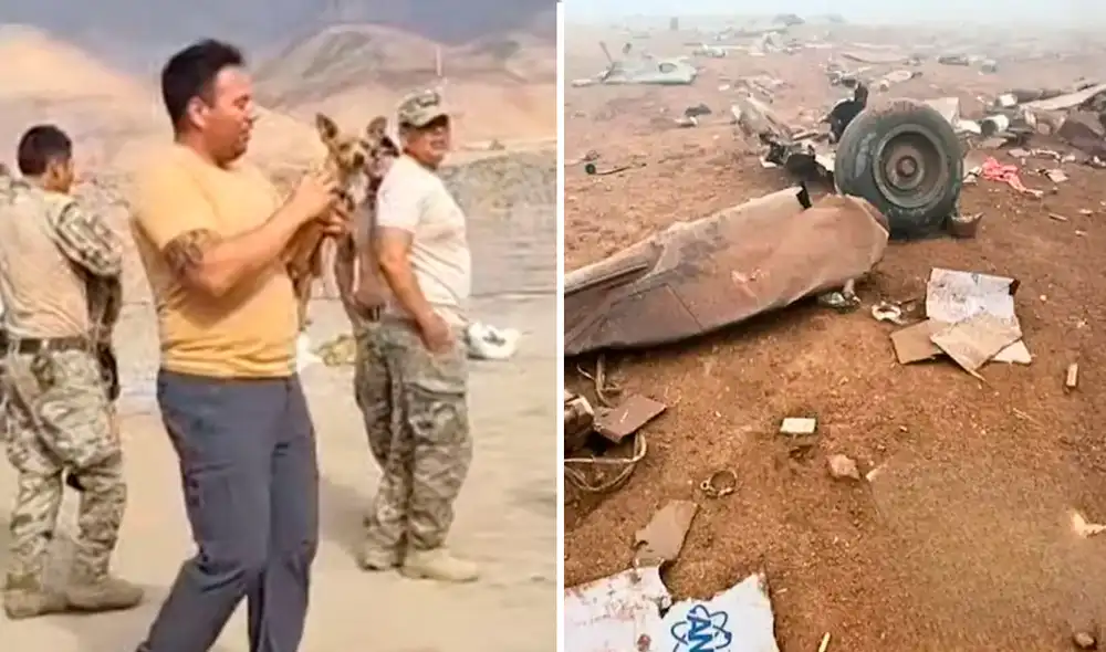 El chihuahua fue encontrado entre los restos del helicóptero tras el brutal impacto