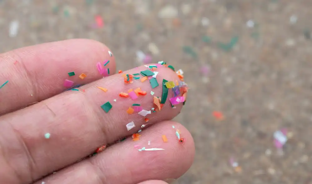 Este hallazgo sugiere una posible relación entre estas partículas y el cáncer. Este hallazgo sugiere una posible relación entre estas partículas y el cáncer.